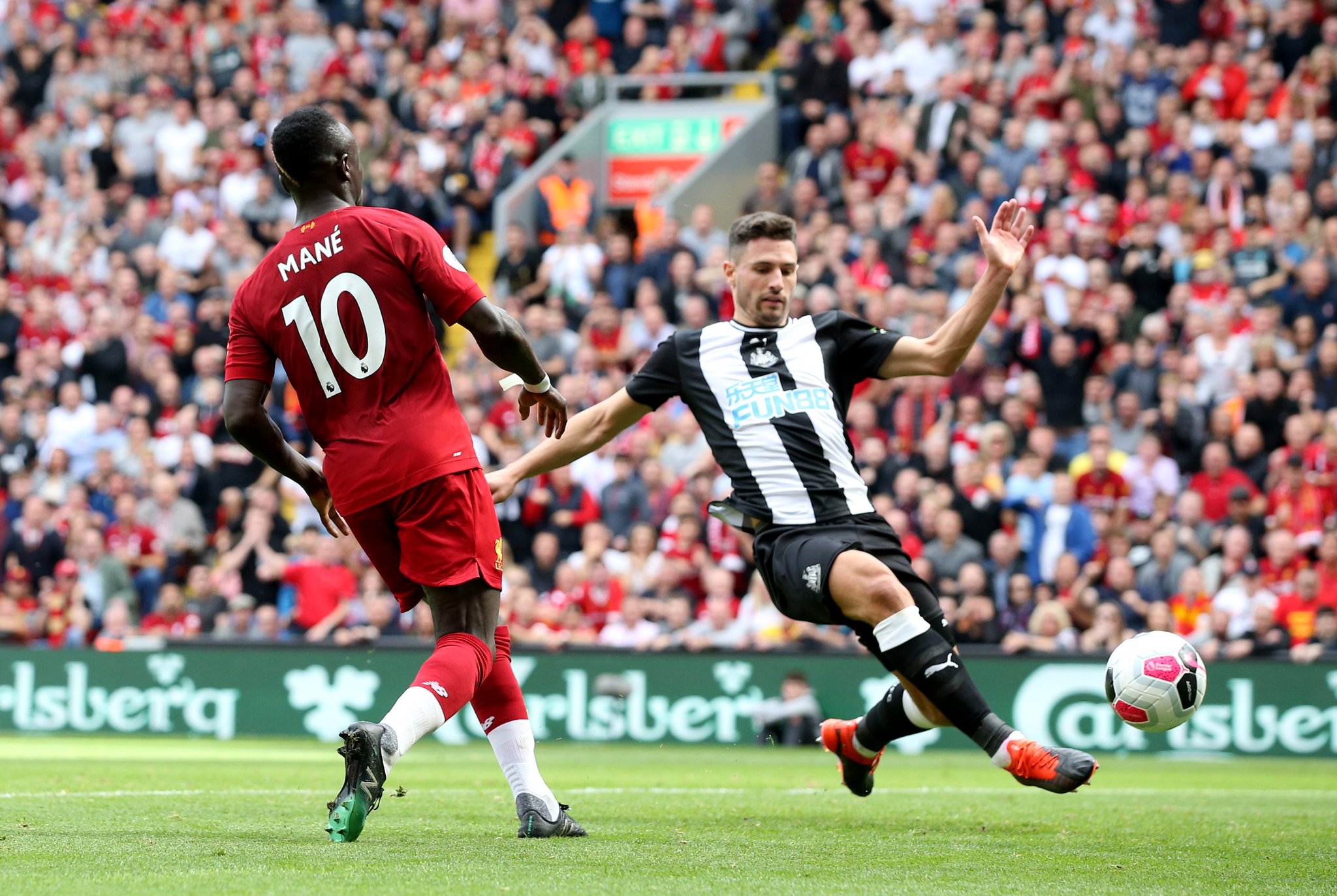 不少球迷纷 不少球迷纷